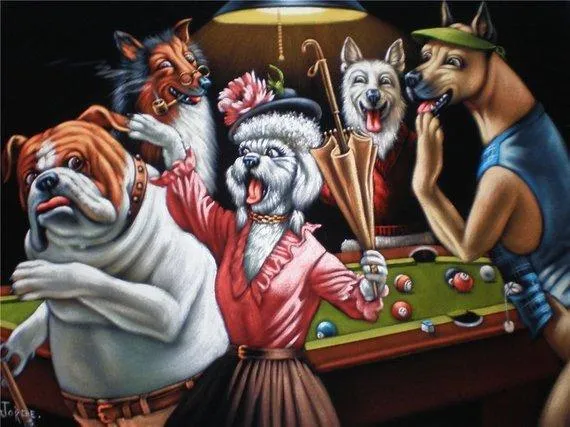 Dogs Pool Funny PIX-328