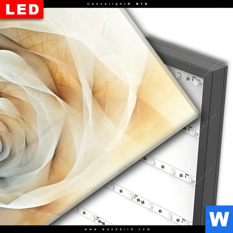 Wechselmotiv Acrylglas Canvalight® DIA | Spirale der Leichtigkeit | Hochformat