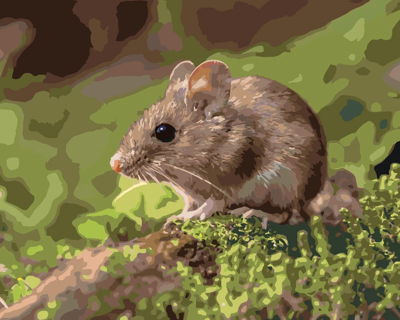 Diamond painting - MAUS, DIE SICH IM WALD AUSRUHTE