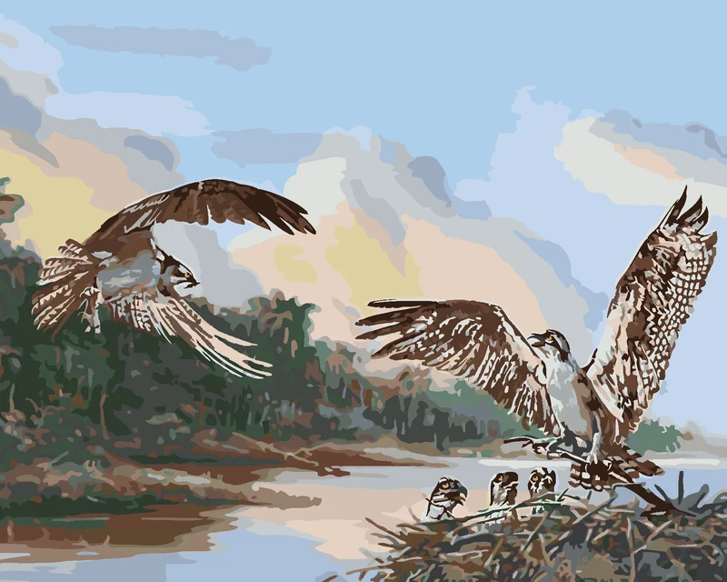 Diamond painting - ADLER UND NEST MIT KÜKEN (D. RUSTY RUST)