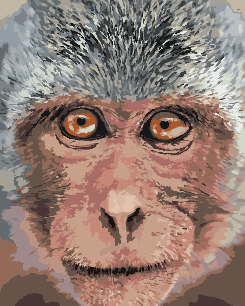 Diamond painting - AFFE NAHAUFNAHME