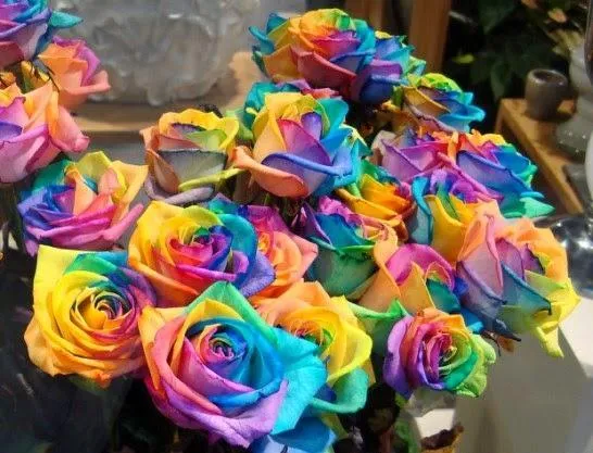 Rainbow Flowers PIX-774
