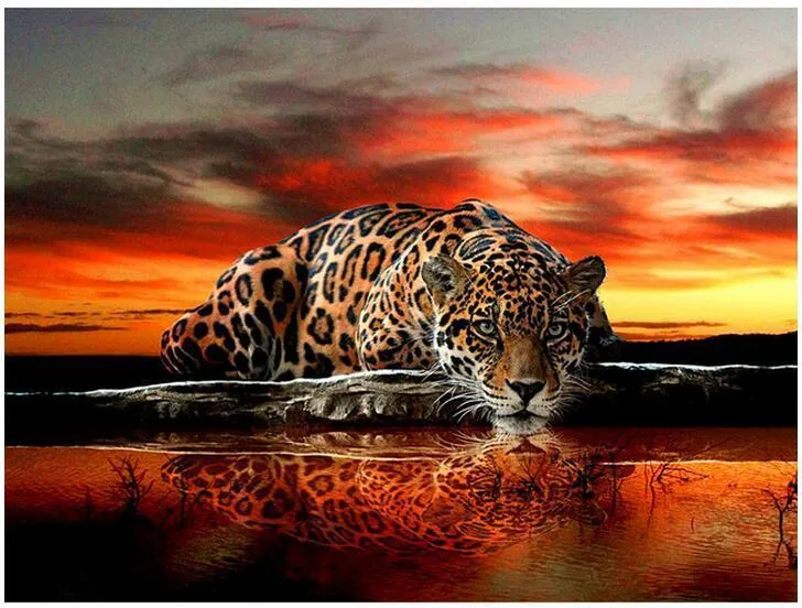 Tattoo Tiger PIX-33