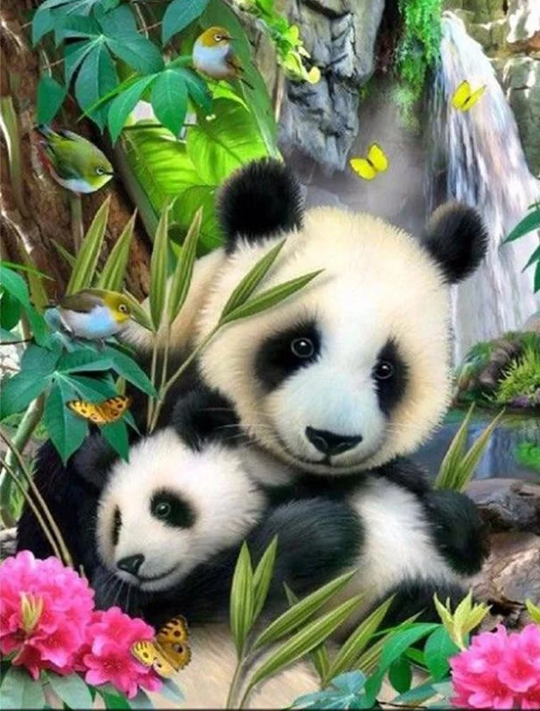 Panda PIX-46