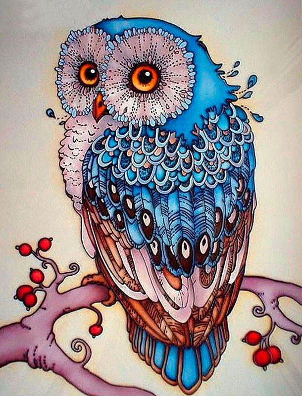 Cute Owl PIX-212