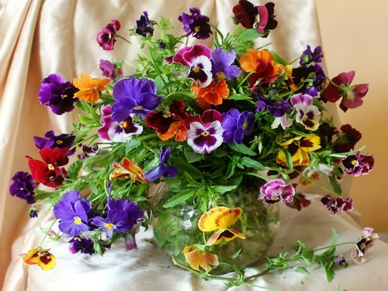 Flower PIX-681