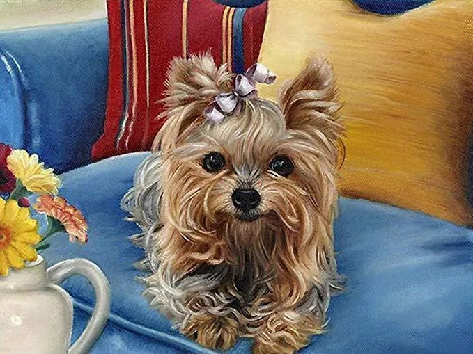 Yorkie Art PIX-1195
