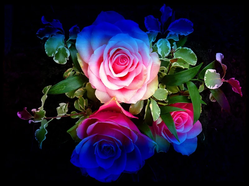 Rainbow Flowers PIX-767