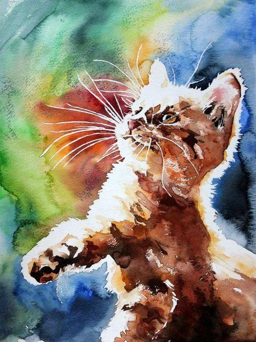 Cat PIX-1329