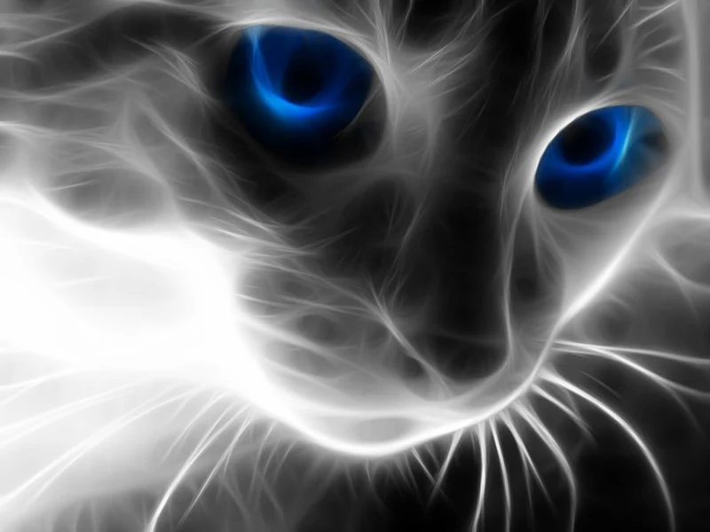 Cat PIX-1376