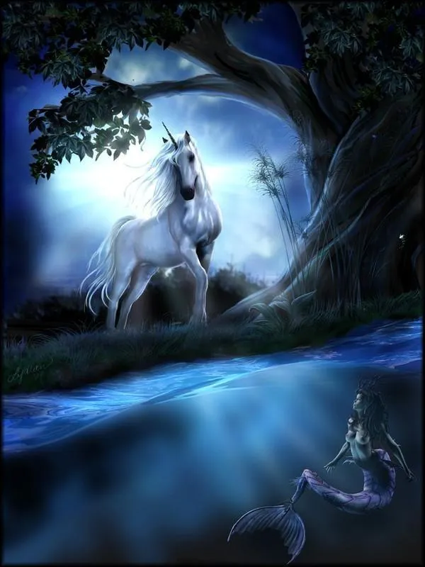 Unicorn PIX-800