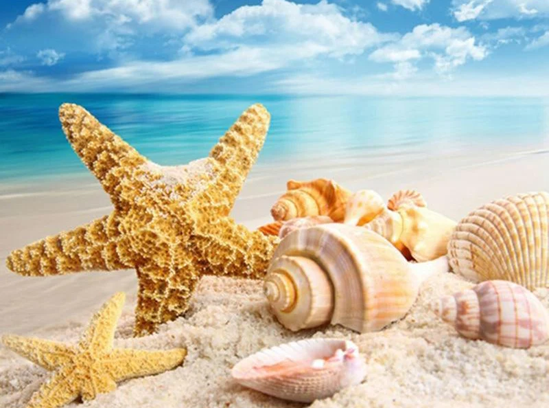 Starfish PIX-41
