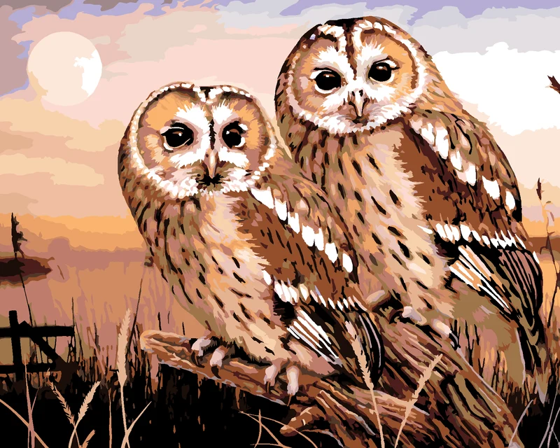 Diamond painting - EULEN - WALDKAUZ (HOWARD ROBINSON)