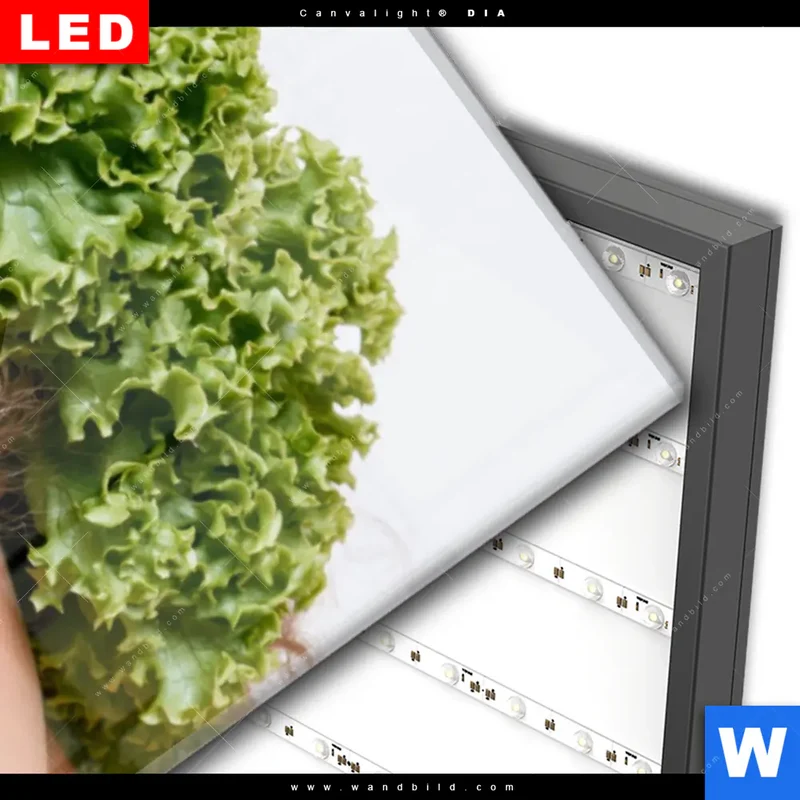 Wechselmotiv Acrylglas Canvalight® DIA | Salat Diva | Panorama