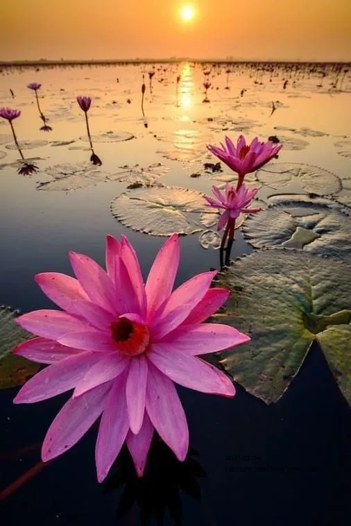 Landscapes PIX-2096