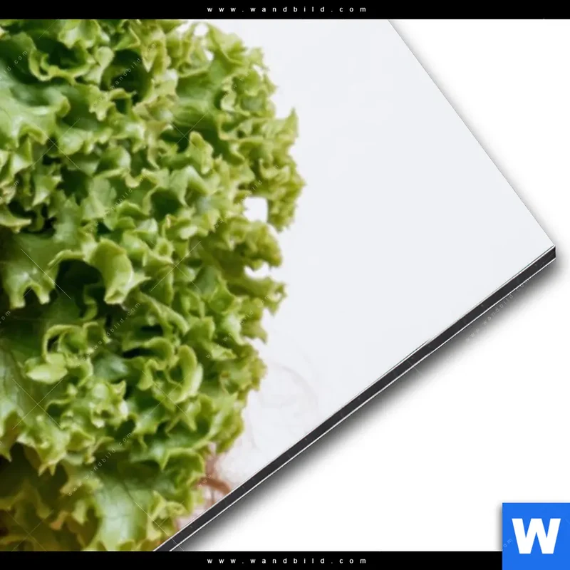 Alu-Dibond Bild | Salat Diva | Panorama