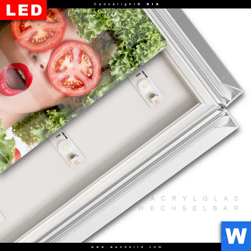 Leuchtbild Acrylglas Canvalight® DIA | Salat Diva | Quadrat