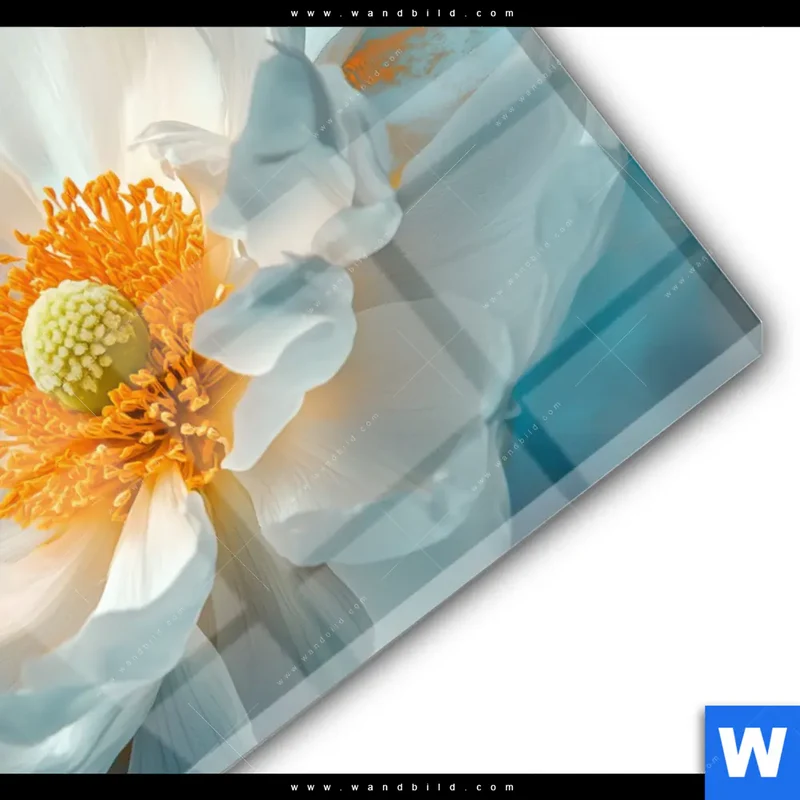 Acrylglasbild | Blüte im goldenen Licht | Querformat
