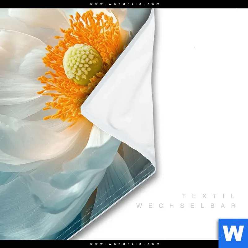 Wechselmotiv | Blüte im goldenen Licht | Quadrat