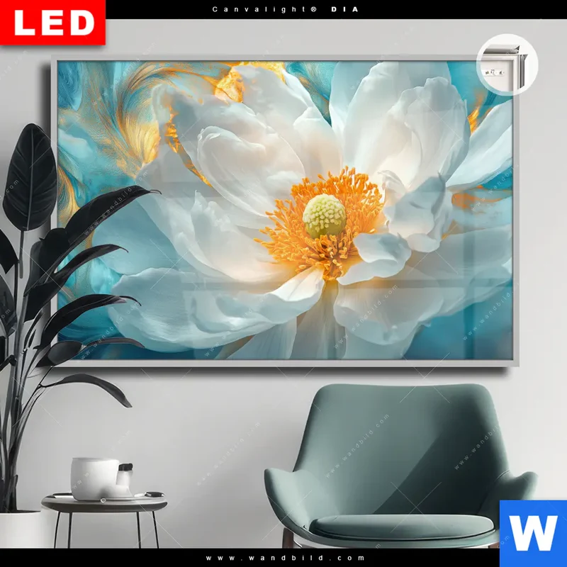 Leuchtbild Acrylglas Canvalight® DIA | Blüte im goldenen Licht | Querformat