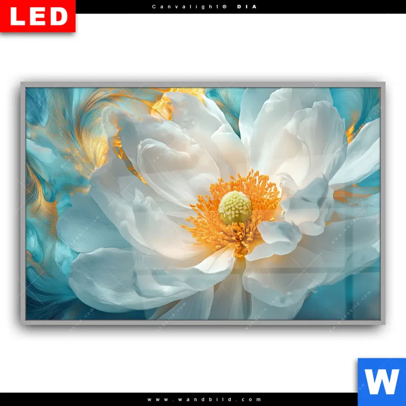 Leuchtbild Acrylglas Canvalight® DIA | Blüte im goldenen Licht | Querformat