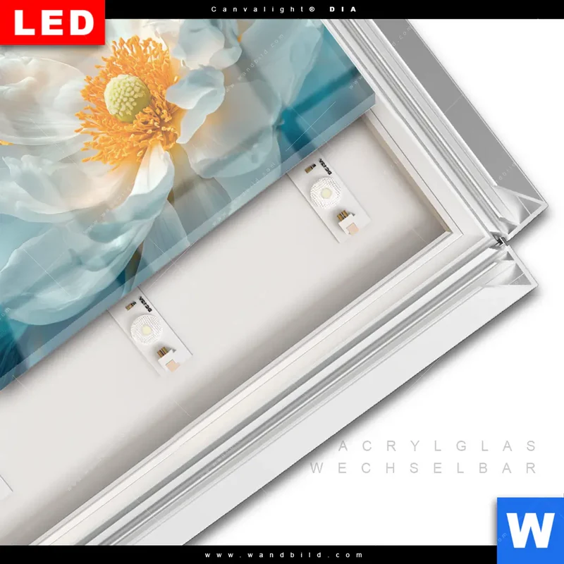 Leuchtbild Acrylglas Canvalight® DIA | Blüte im goldenen Licht | Querformat