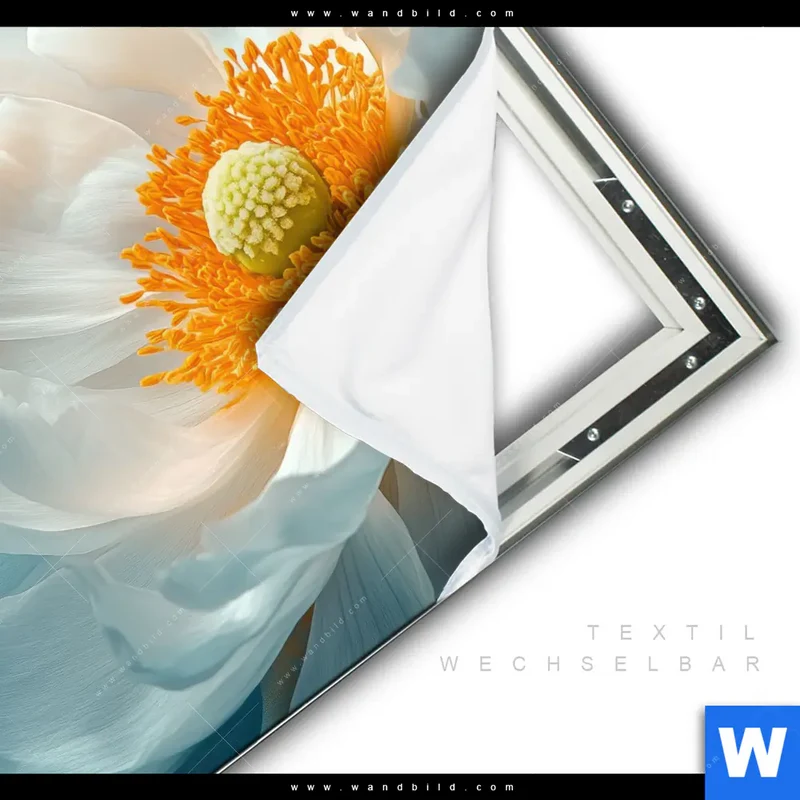 Spannbild | Blüte im goldenen Licht | Quadrat