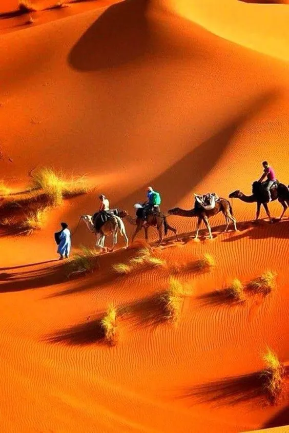 Landscapes PIX-2134