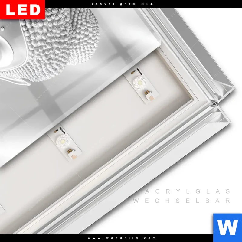 Leuchtbild Acrylglas Canvalight® DIA | Buddha - Stille des Erwachens | Hochformat