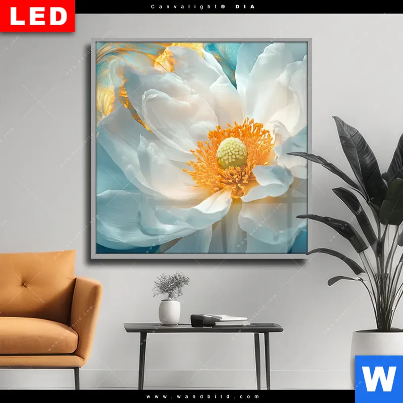 Wechselmotiv Acrylglas Canvalight® DIA | Blüte im goldenen Licht | Quadrat