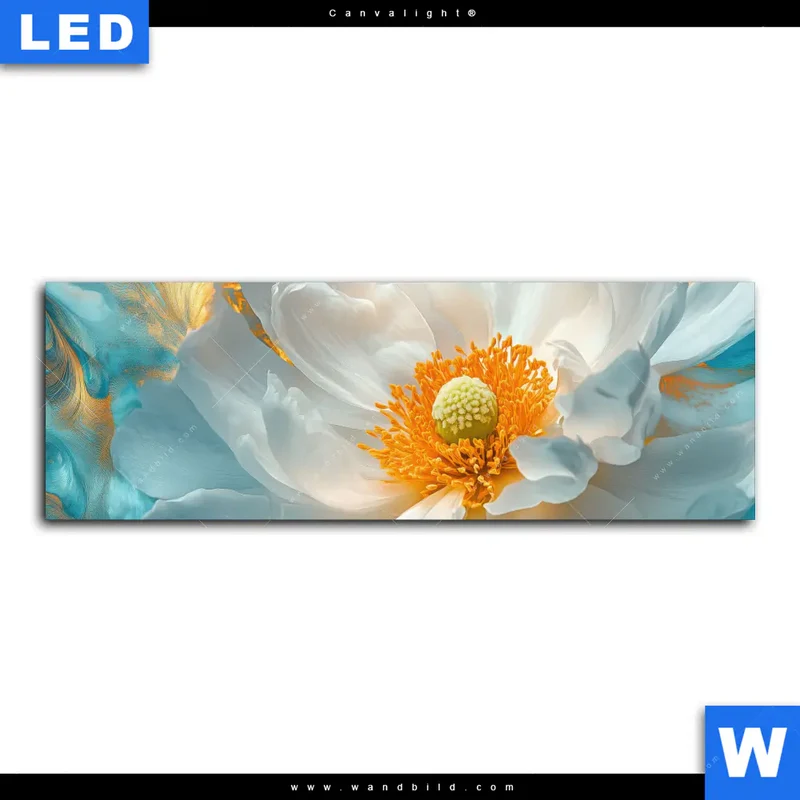Canvalight® Leuchtbild | Blüte im goldenen Licht | Panorama