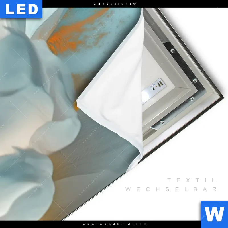 Canvalight® Leuchtbild | Blüte im goldenen Licht | Panorama