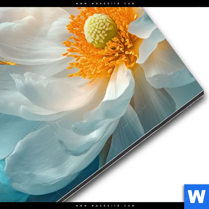 Alu-Dibond Bild | Blüte im goldenen Licht | Rund