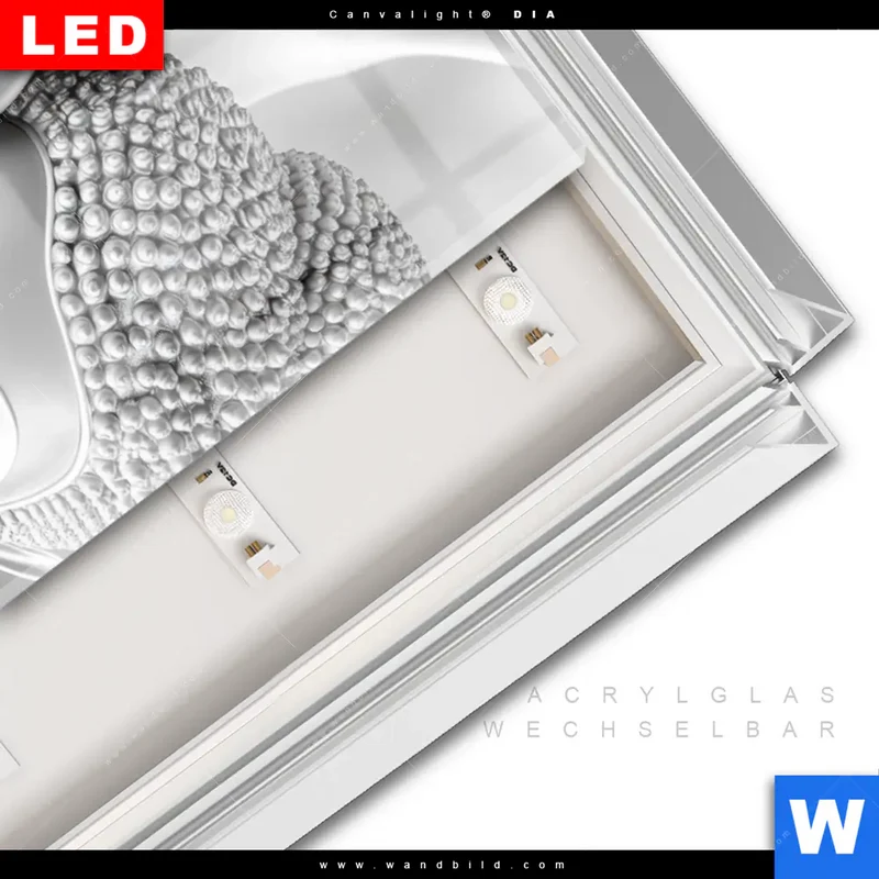Leuchtbild Acrylglas Canvalight® DIA | Buddha - Stille des Erwachens | Schmal