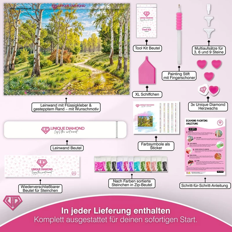 5D Diamond Painting – Feldweg im Birkenwald