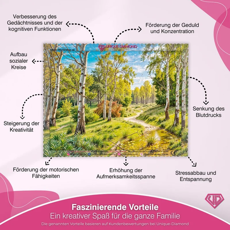 5D Diamond Painting – Feldweg im Birkenwald