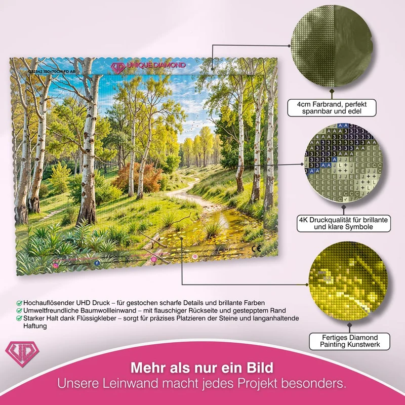 5D Diamond Painting – Feldweg im Birkenwald
