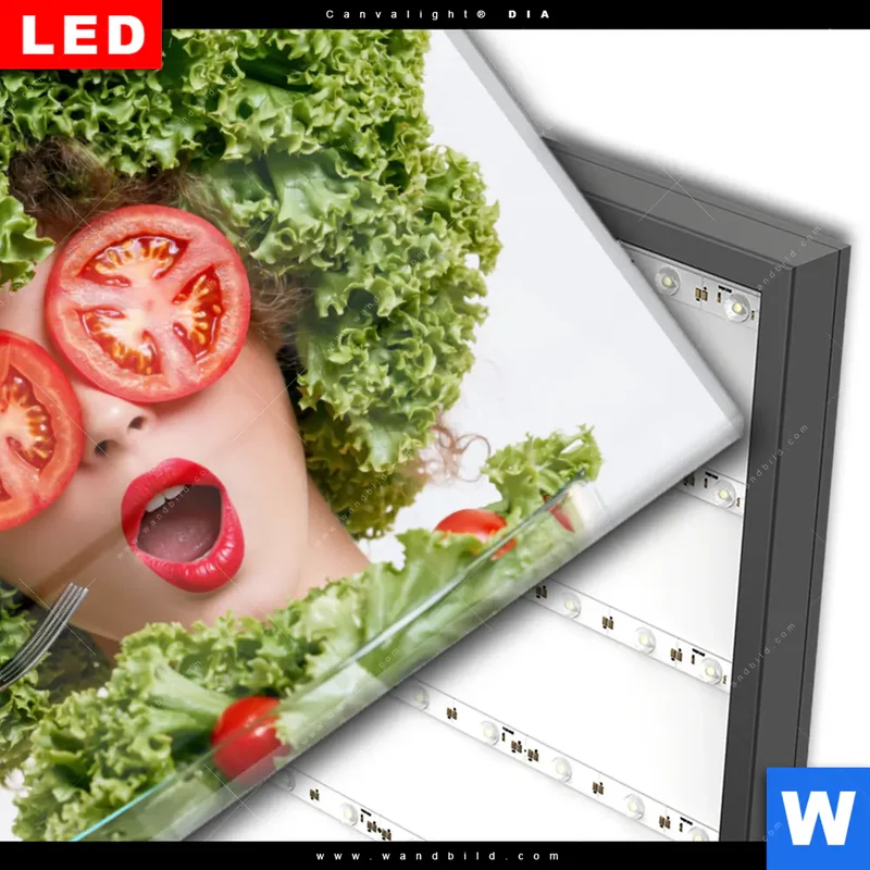 Wechselmotiv Acrylglas Canvalight® DIA | Salat Diva | Querformat