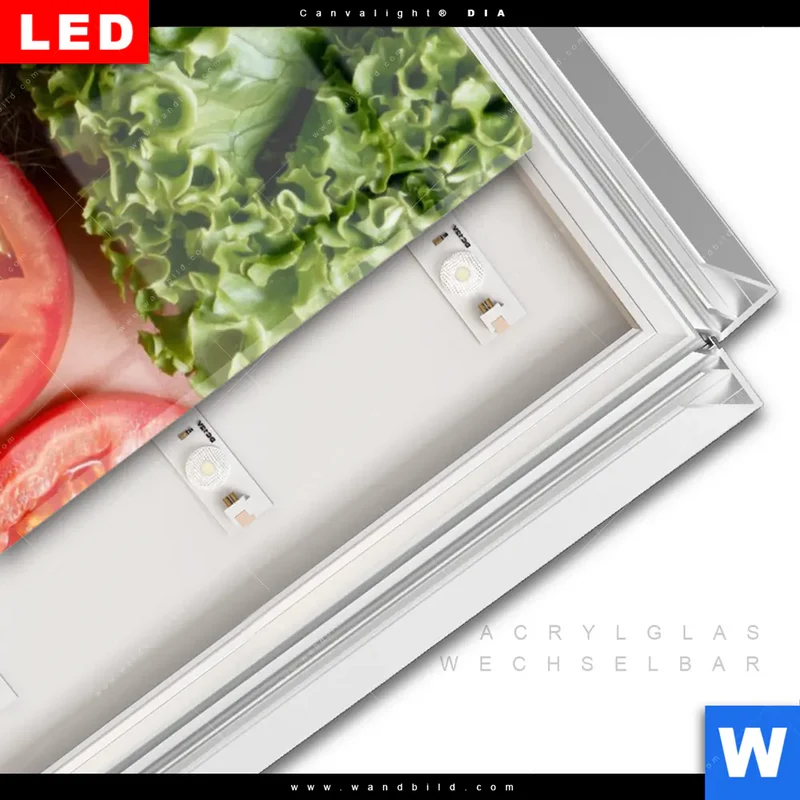 Leuchtbild Acrylglas Canvalight® DIA | Salat Diva | Schmal