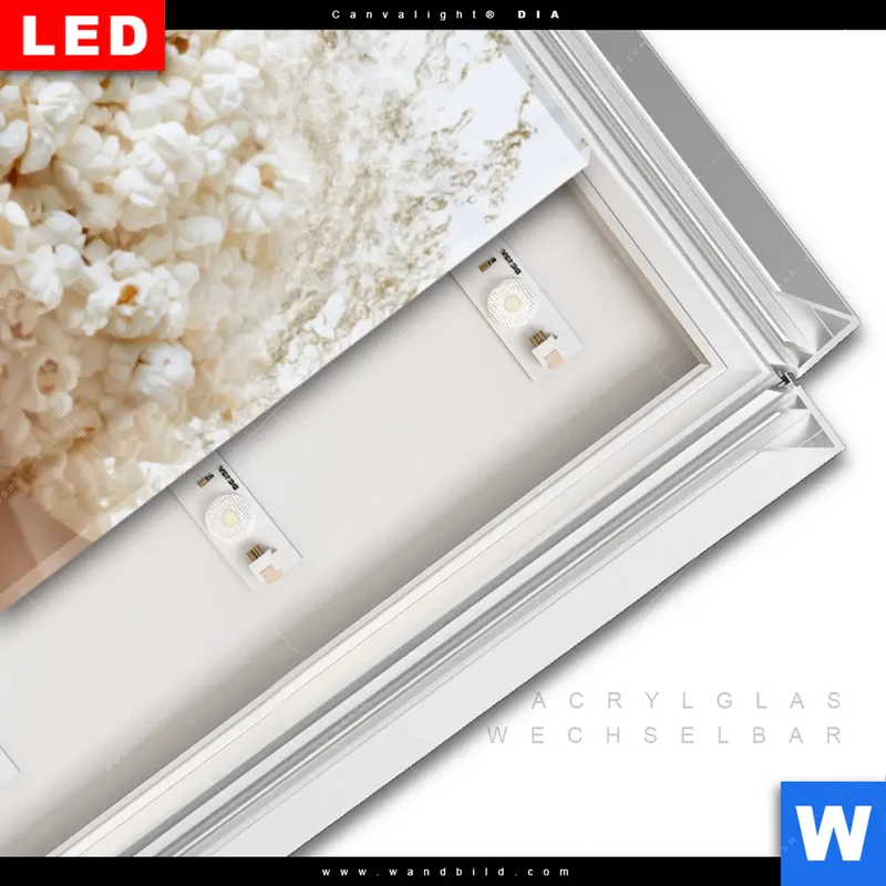 Leuchtbild Acrylglas Canvalight® DIA | Crazy Popcorn Hair | Panorama