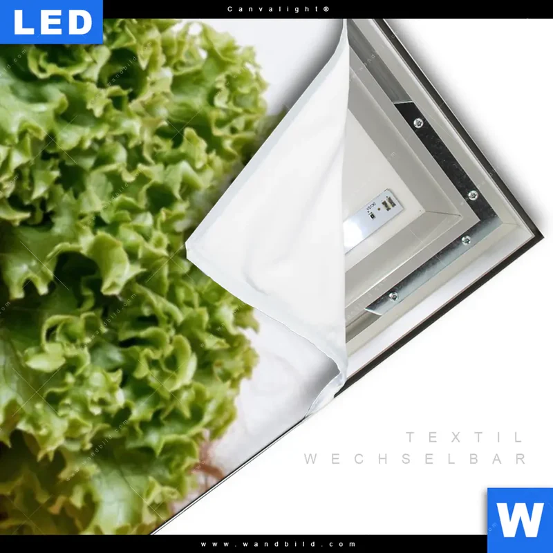 Canvalight® Leuchtbild | Salat Diva | Panorama