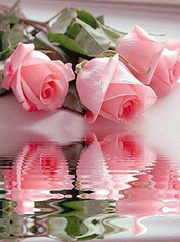 Flower Pink PIX-162