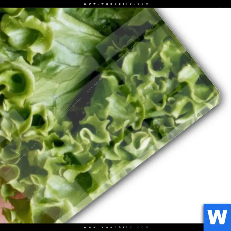 Acrylglasbild | Salat Diva | Schmal