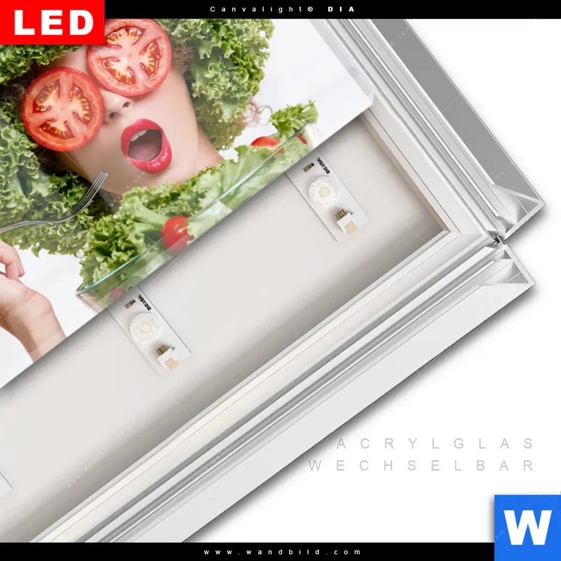 Leuchtbild Acrylglas Canvalight® DIA | Salat Diva | Querformat