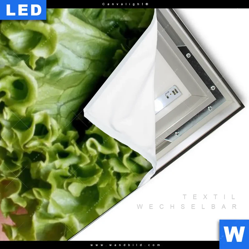 Canvalight® Leuchtbild | Salat Diva | Schmal