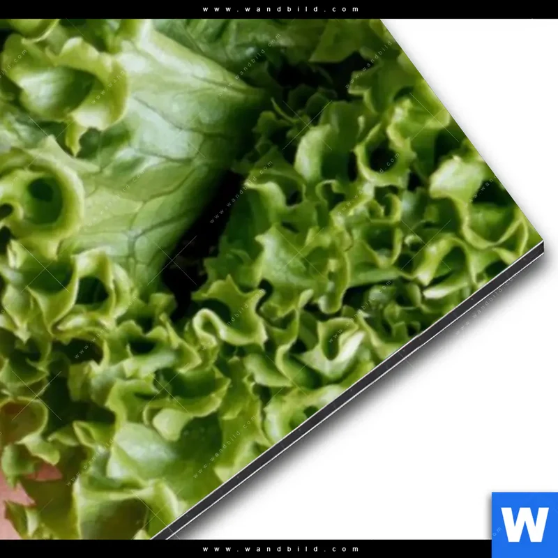 Alu-Dibond Bild | Salat Diva | Schmal