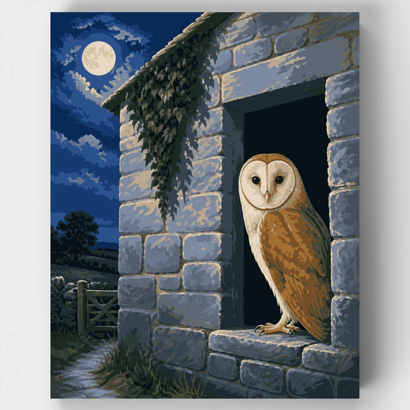 Barn Owl Moonlit Doorway - Paint by Numbers Kit