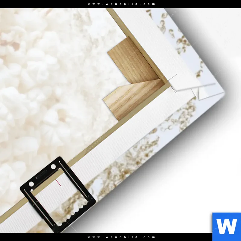 Leinwandbild | Crazy Popcorn Hair | Panorama