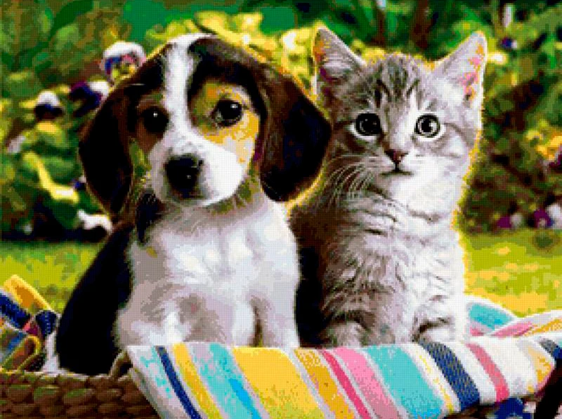 Dog And Cat PIX-192