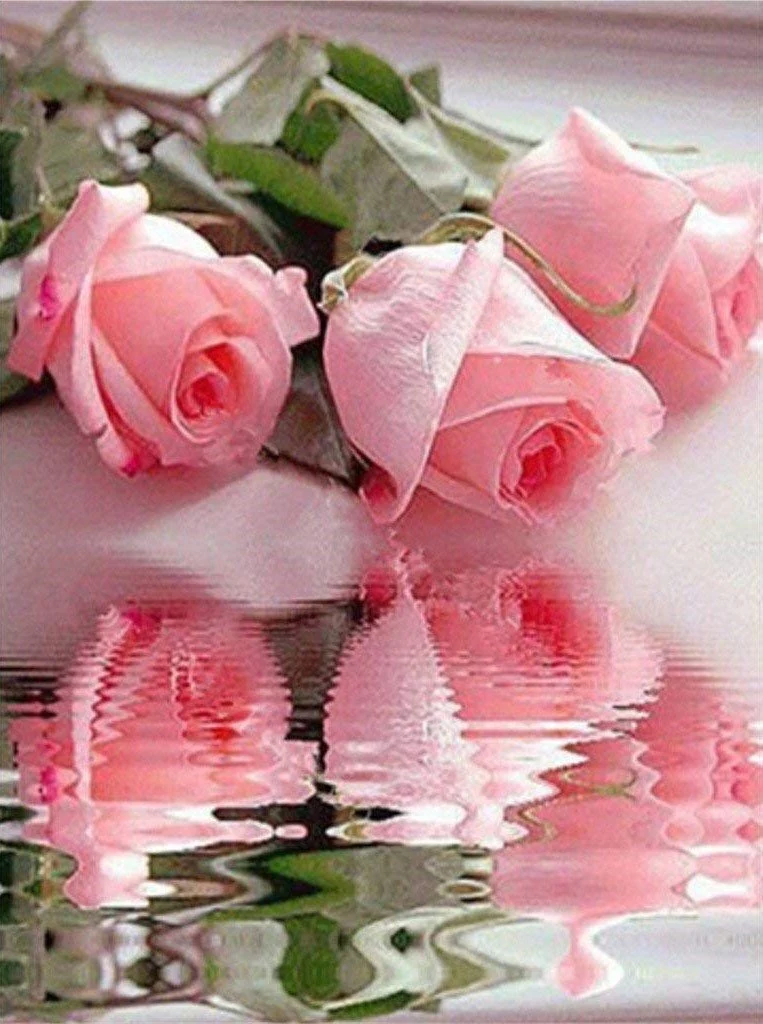 Flower PIX-685